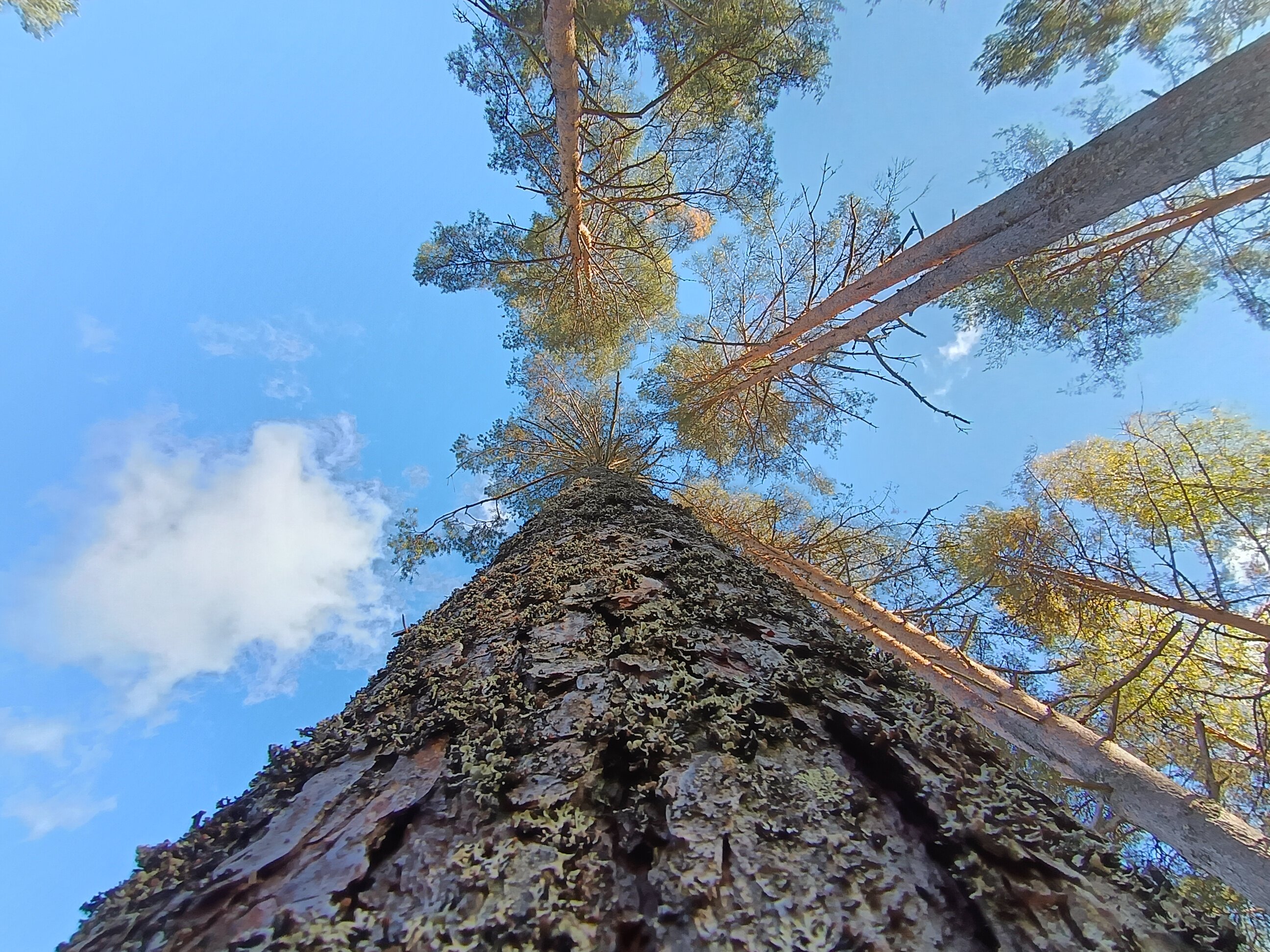 Фото Бухта Лапиковых