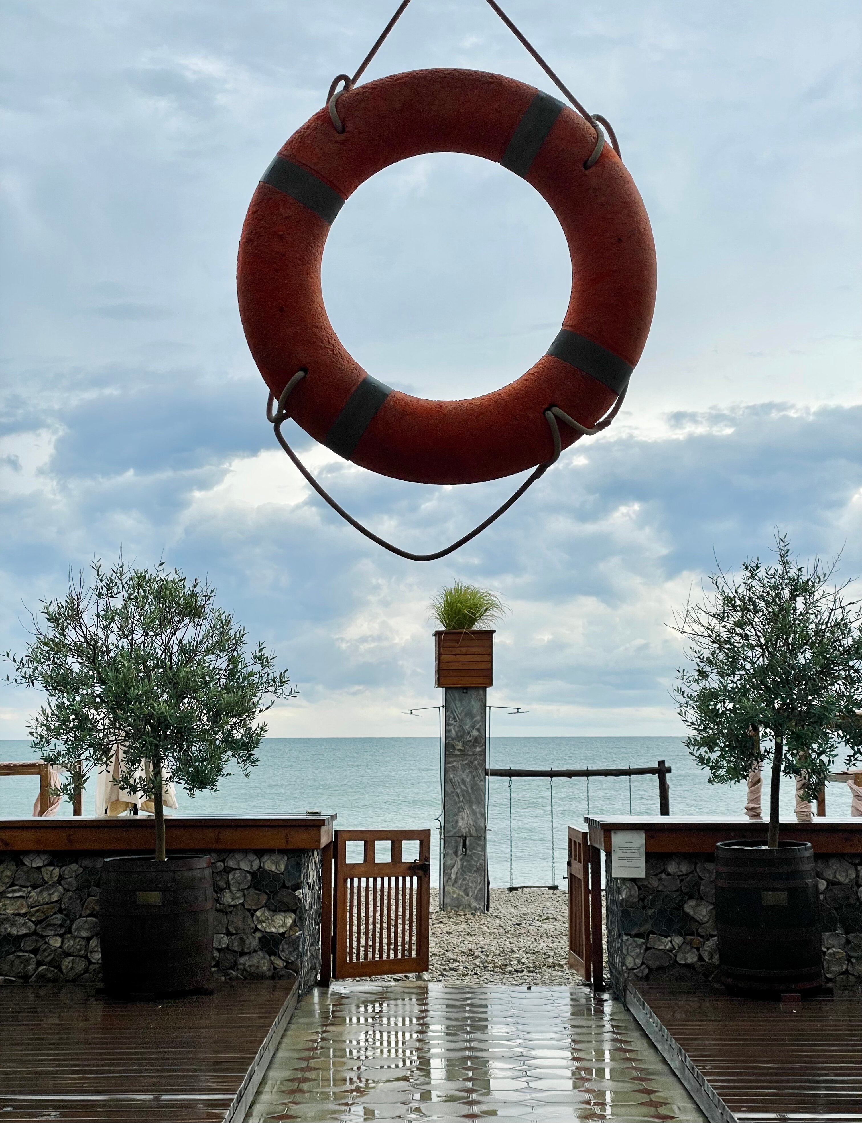 Фото Аламыс