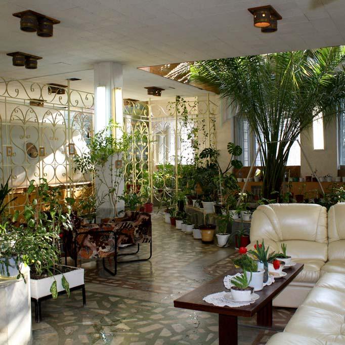 Фото Звёздный