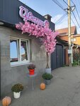 Flowers (posyolok Znamenskiy, dachnoye tovarishchestvo Gidrostroitel, Shosseynaya ulitsa, 19), flower shop
