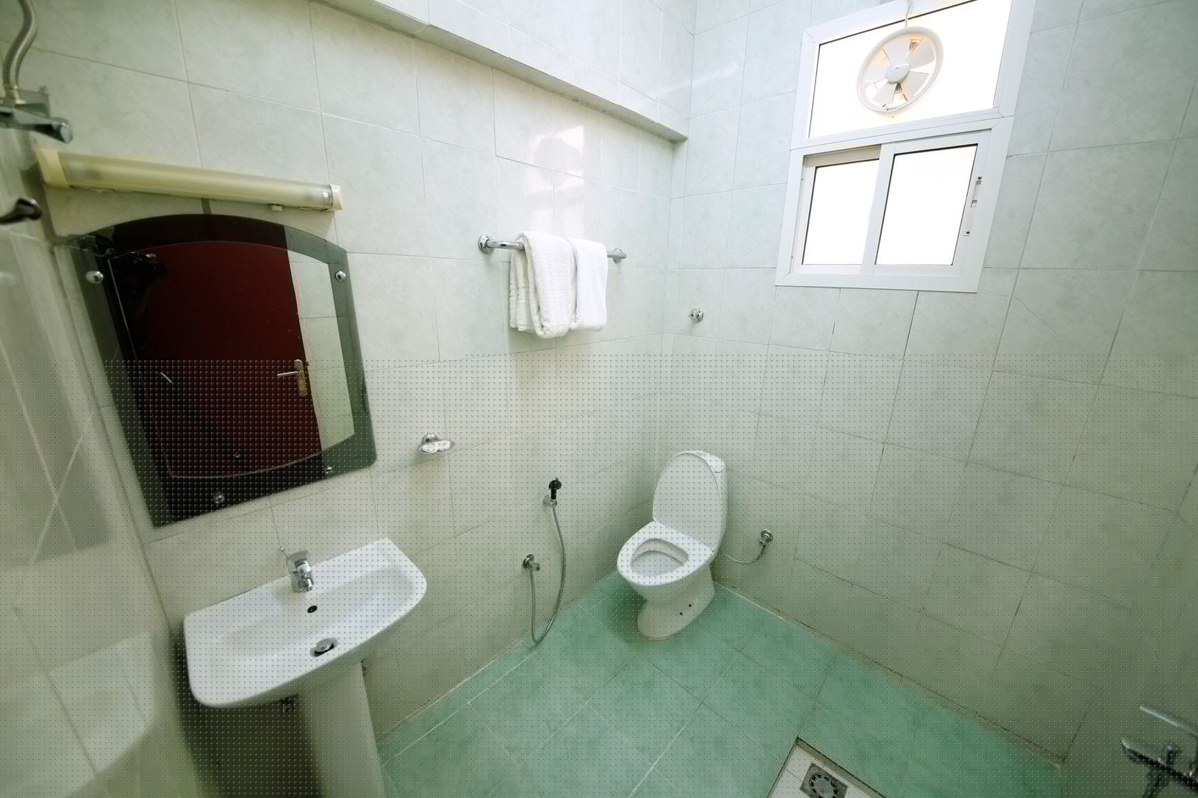 Фото Al Nile Hotel