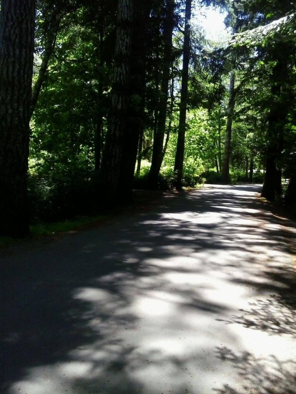Фото Driftwood by the Sea Inn and Rv Resort