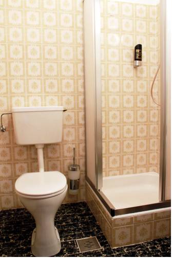 Фото Hotel Altpradl