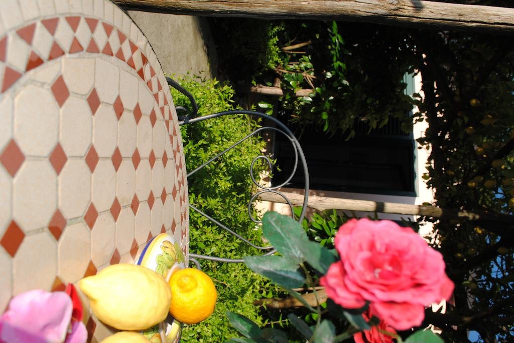 Фото Il Roseto B&b