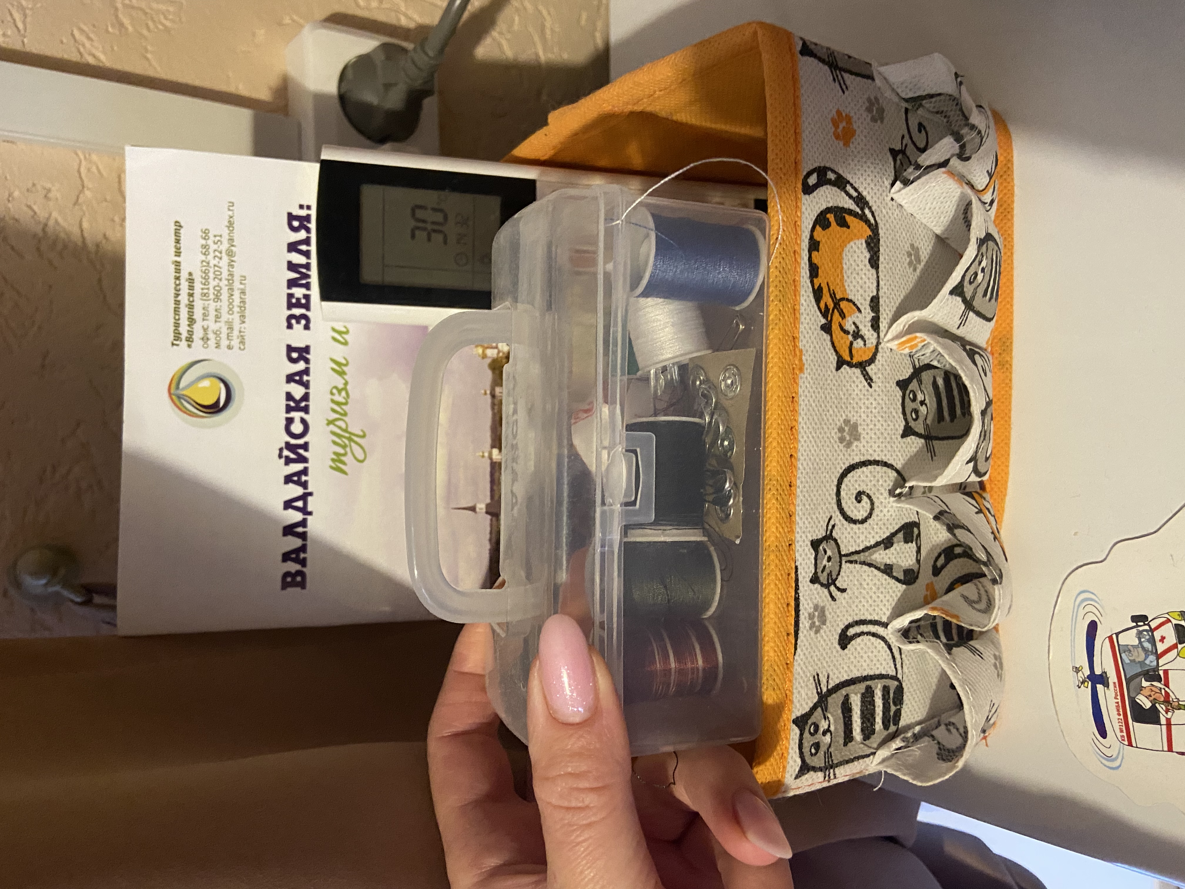 Фото Кот и кошка