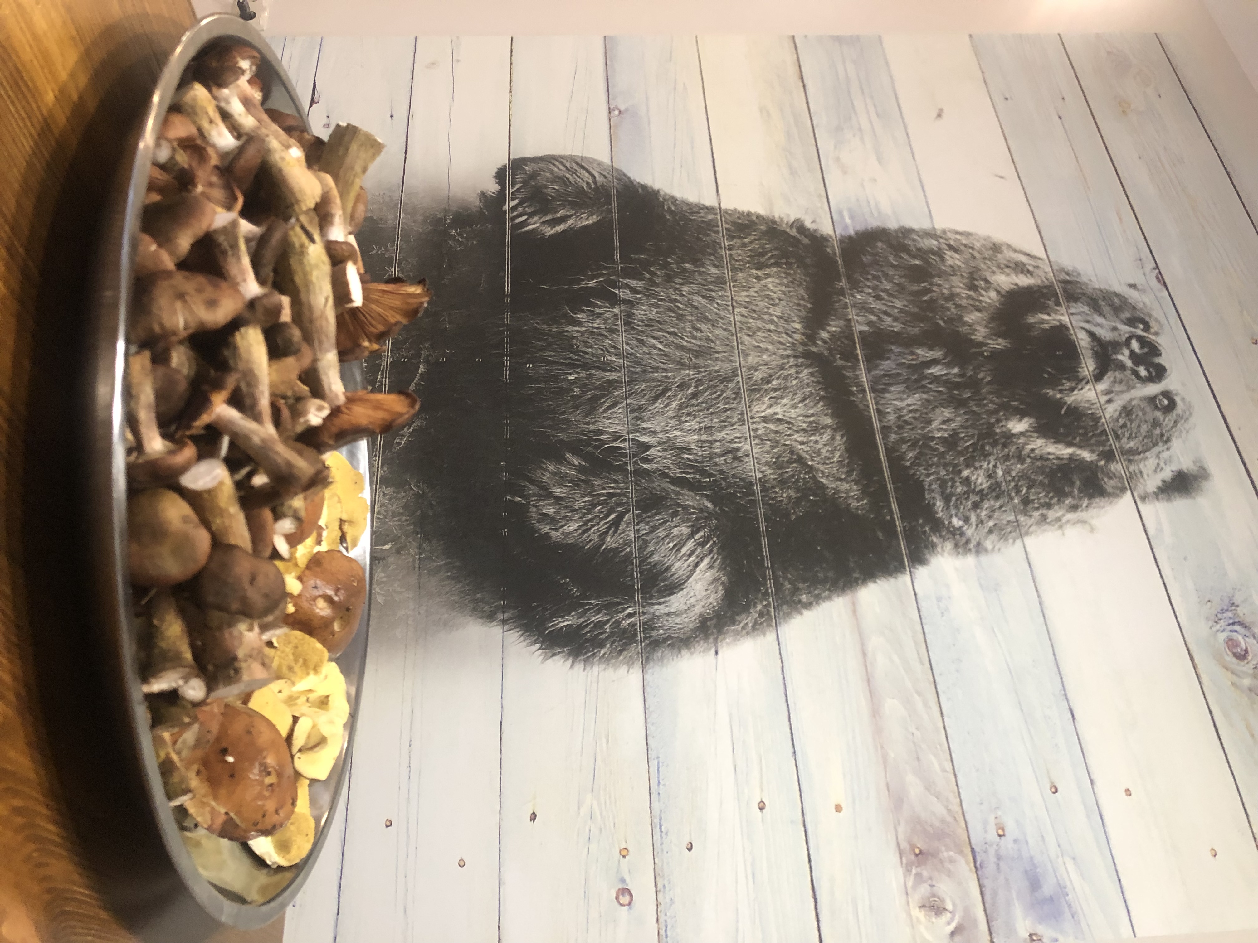 Фото Три Медведя