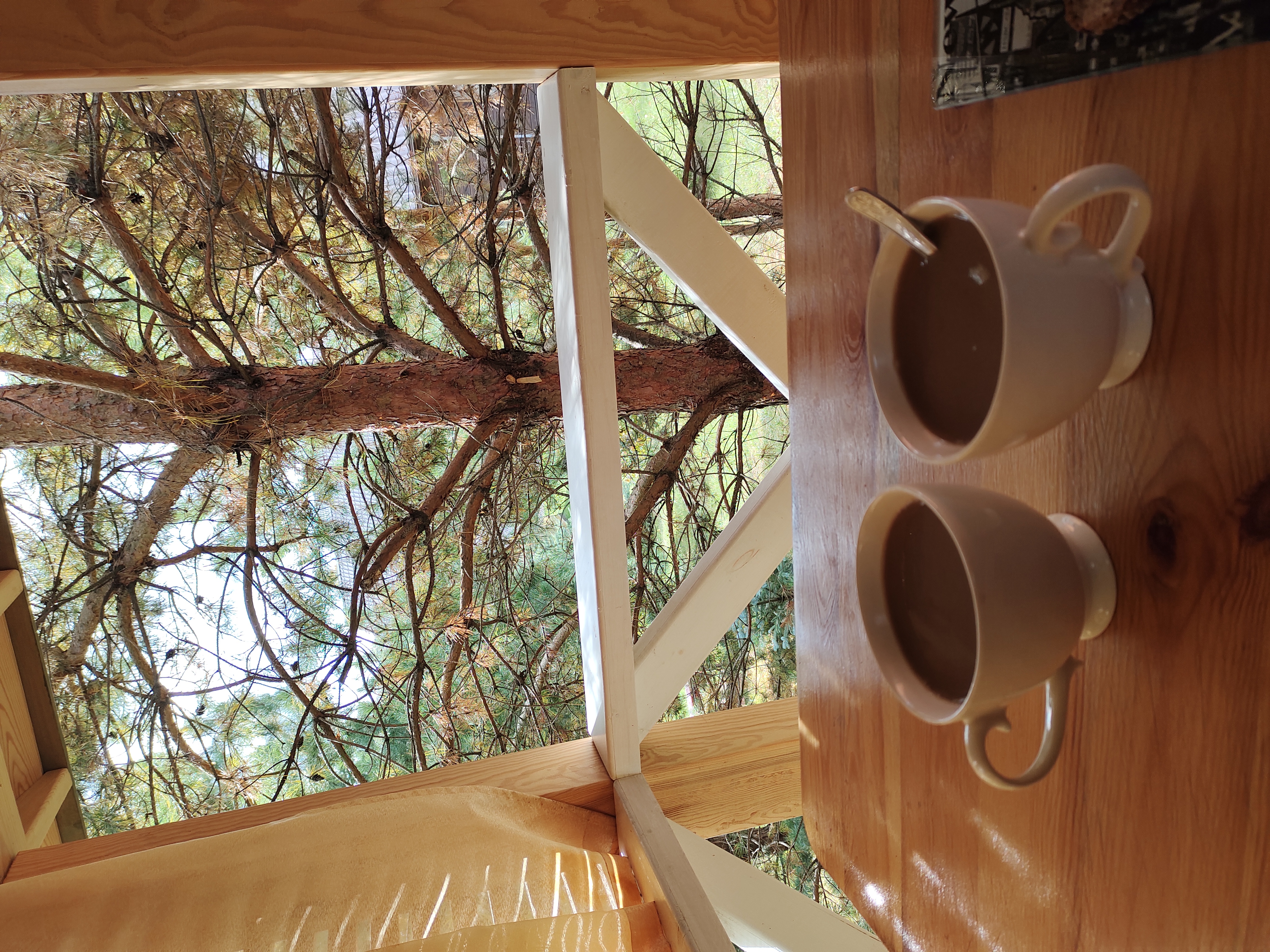 Фото Сынтульская слобода