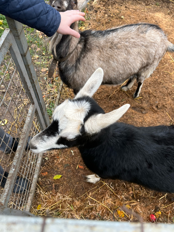 Фото Суздаль Inn