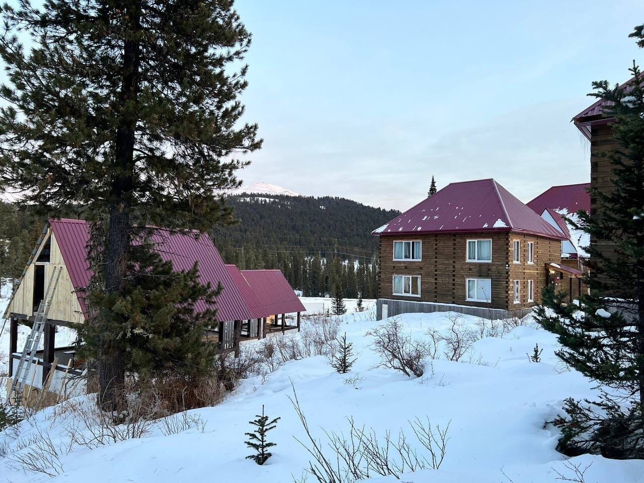 Фото Хозяин тайги Ергаки