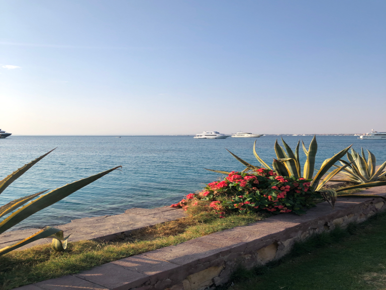 Фото 89227095207