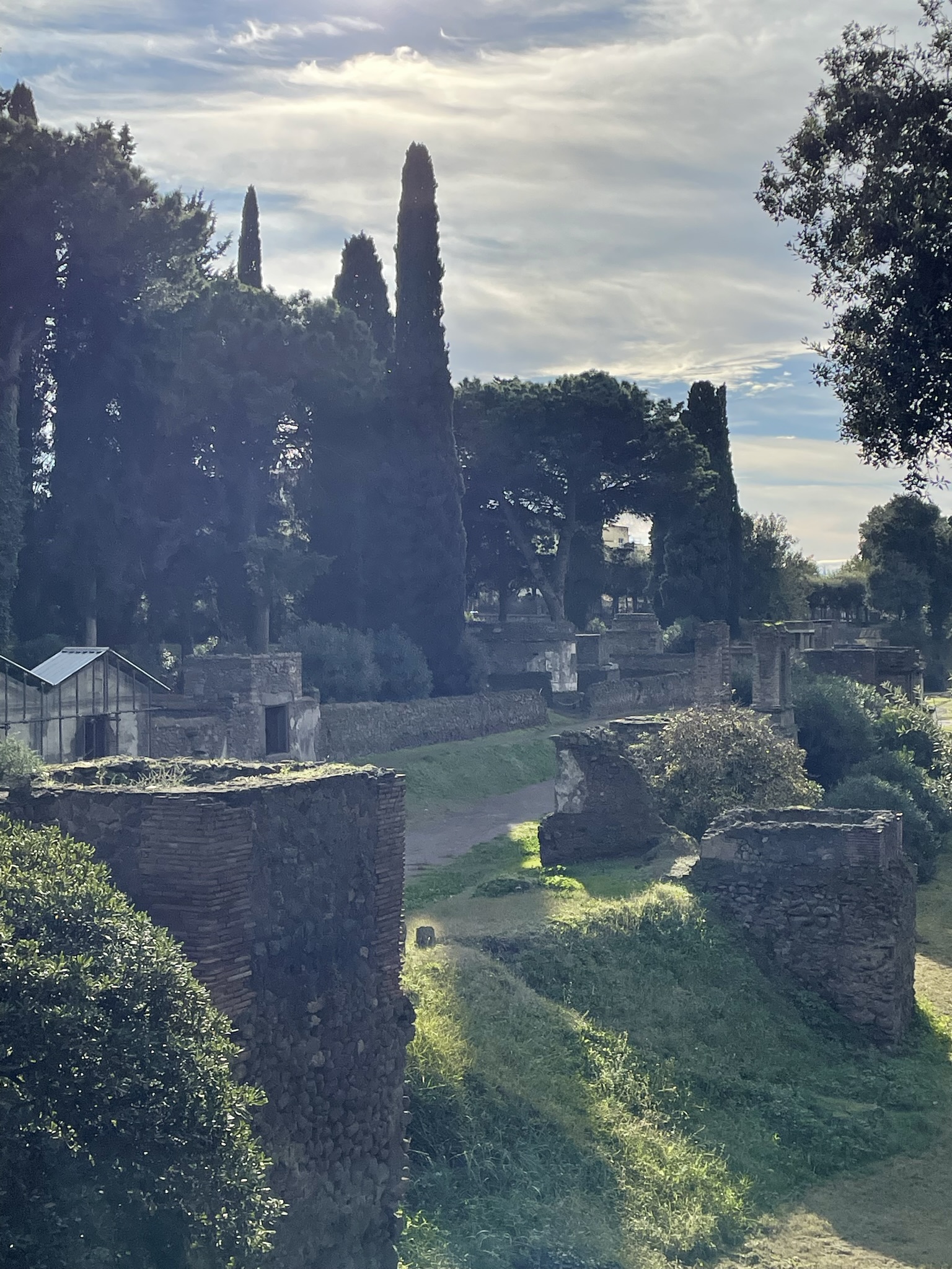 Фото Hotel Forum