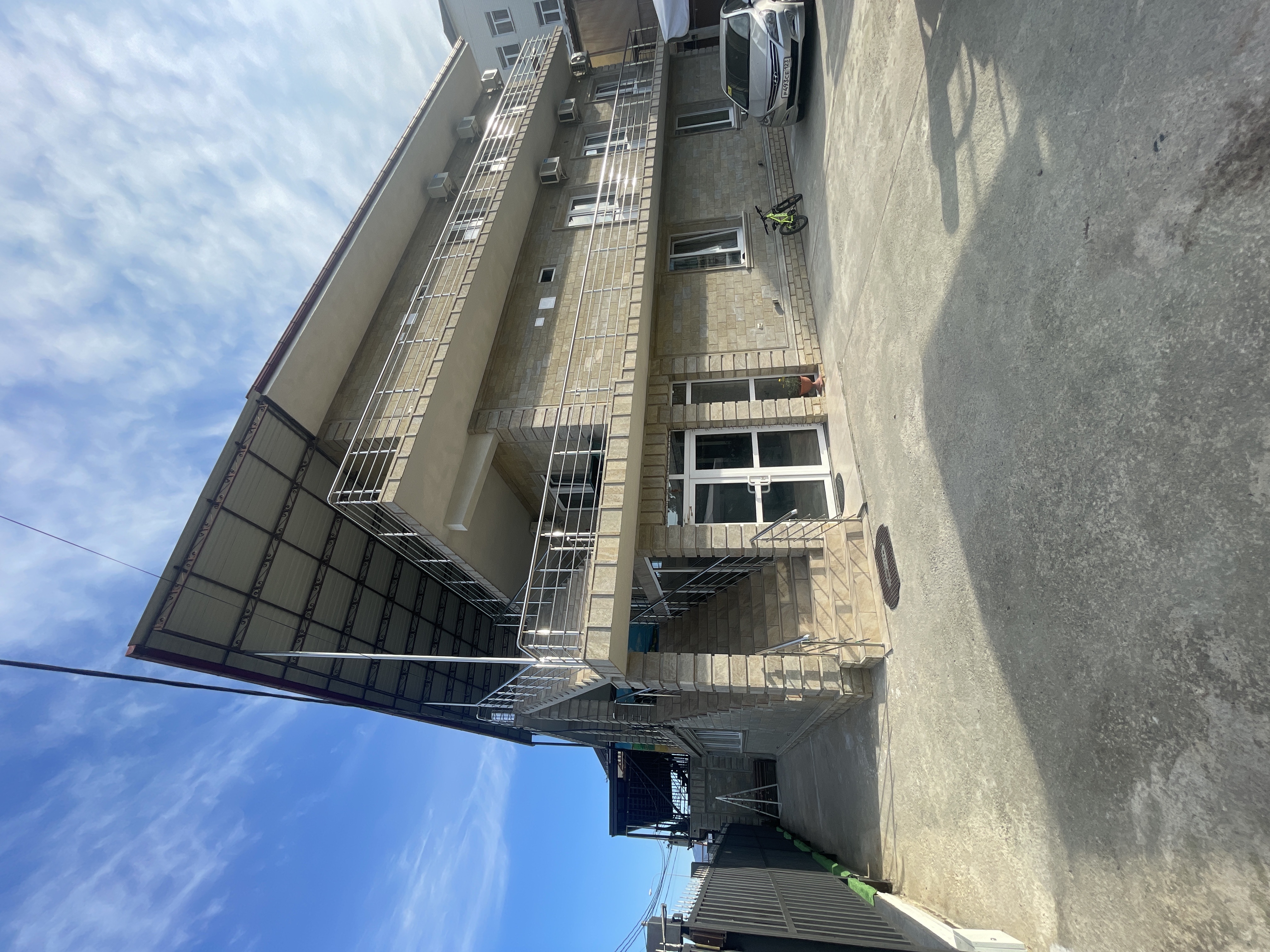 Фото Дельфин