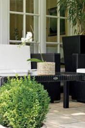 Фото Hotel Villa im Park