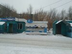 Ice (11th microdistrict, 25Г), dairy products shop