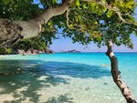 Coral Travel (ulitsa 3-go Internatsionala, 23), travel agency
