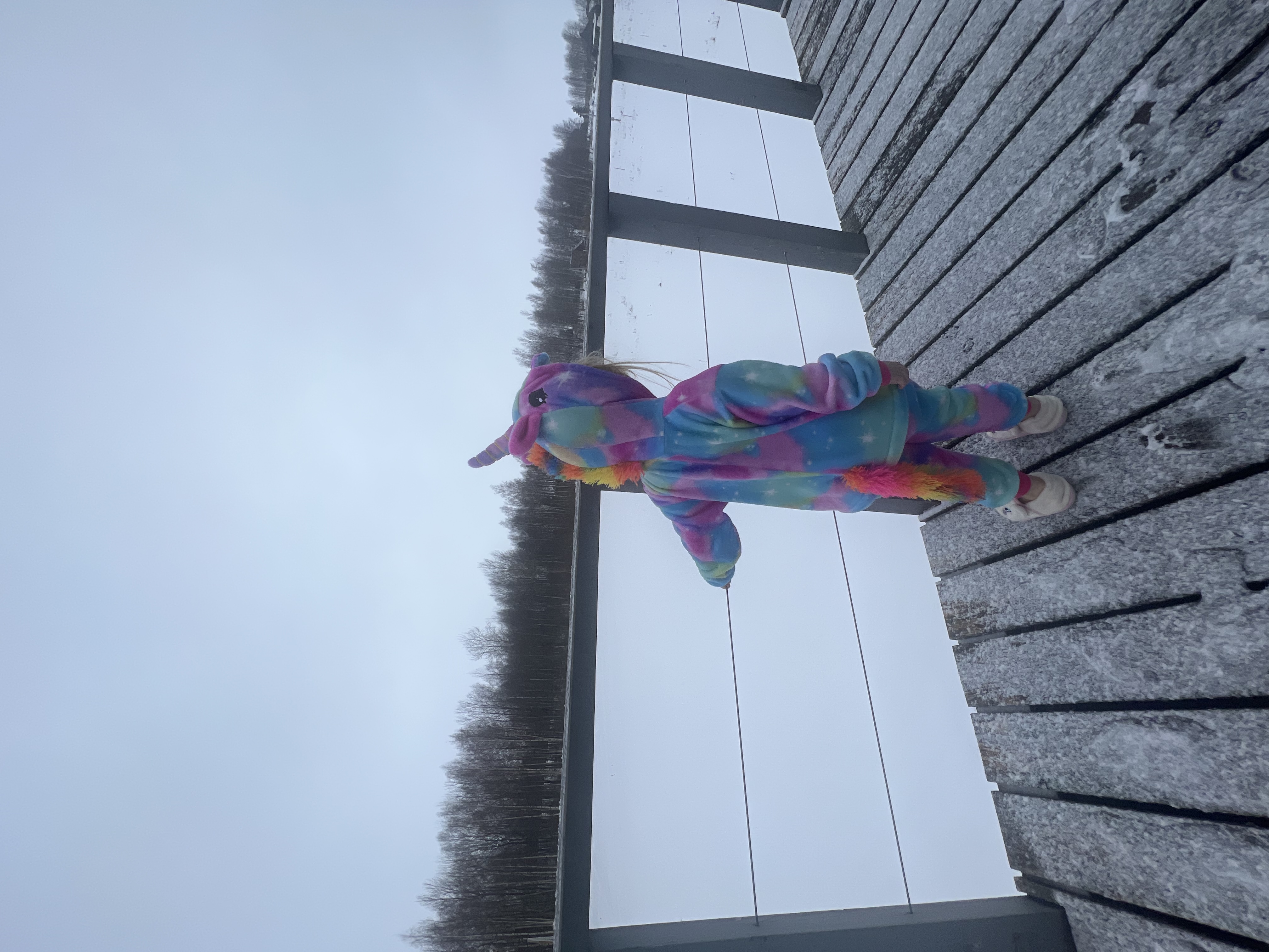 Фото Чудо-дом с сауной