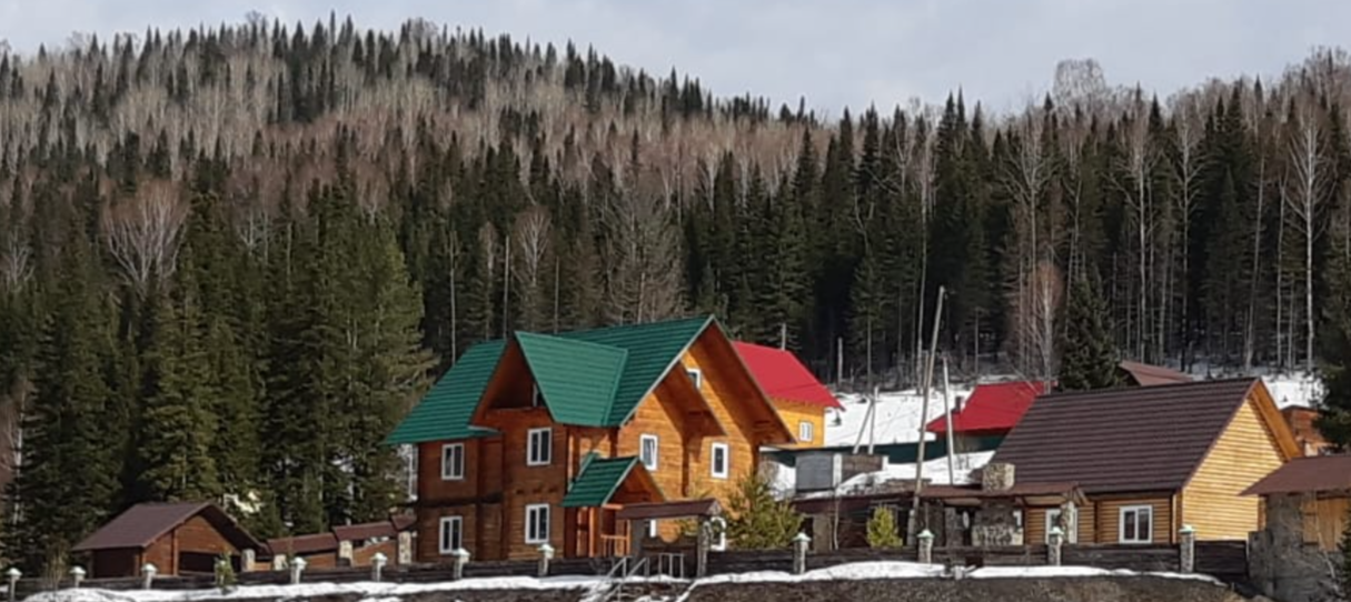 Фото Золотая сова