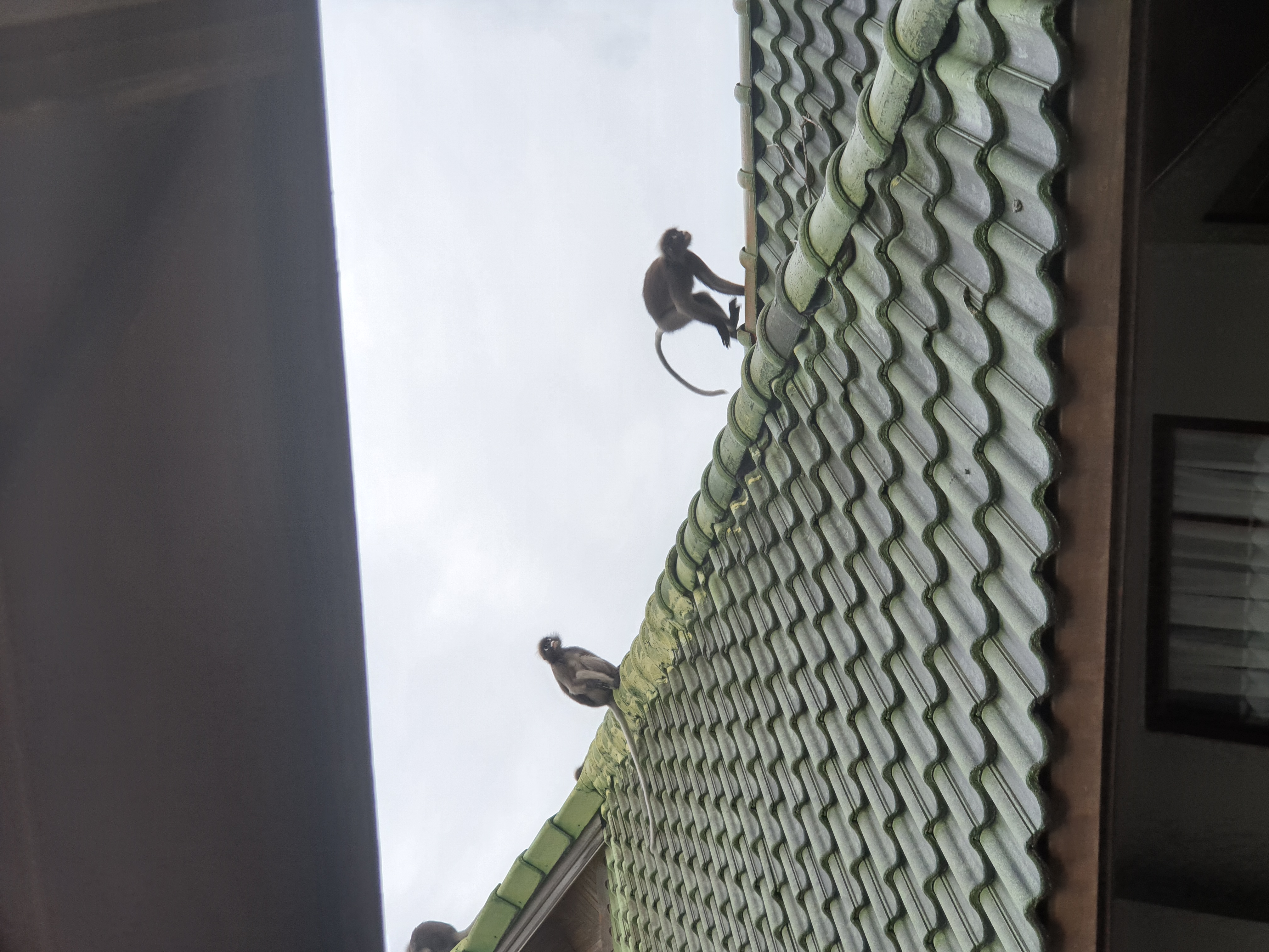 Фото Railay Bay Resort and SPA