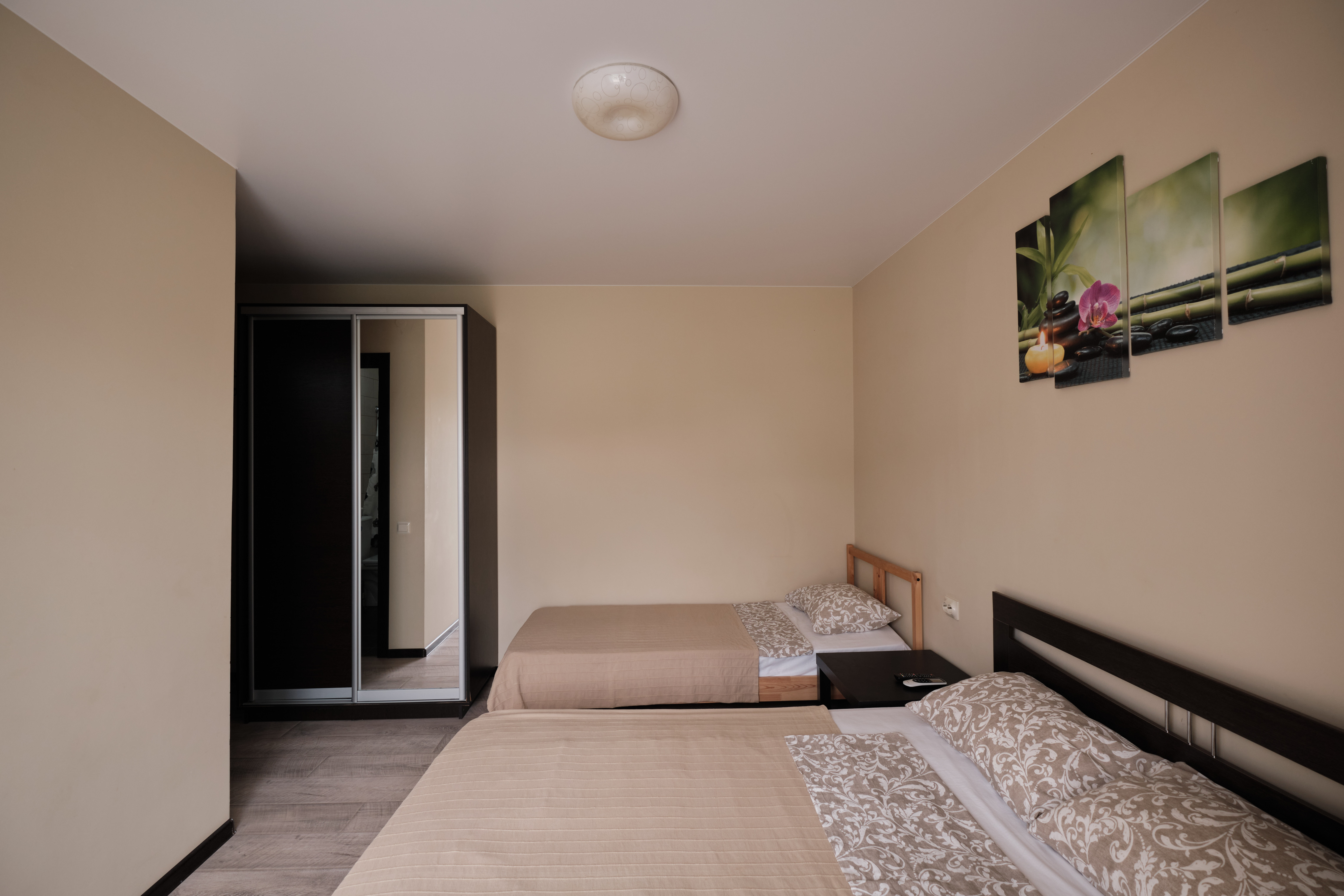 Фото Солнечная орхидея