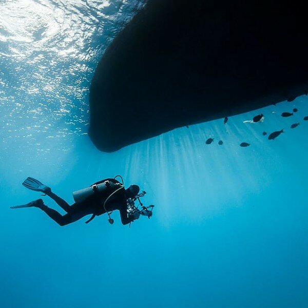 Diving Freestyle Divers, Dibba, photo