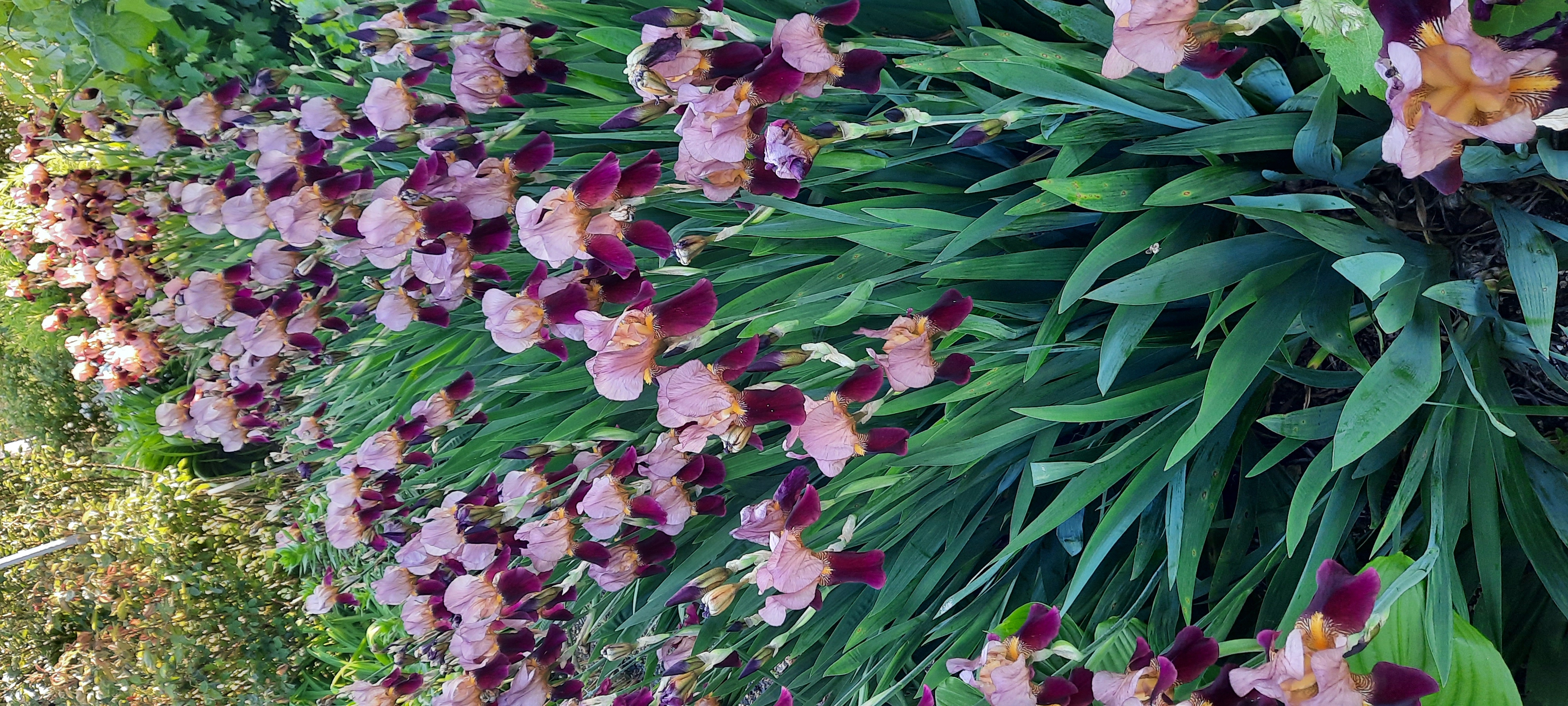 Фото ЭтоЛето