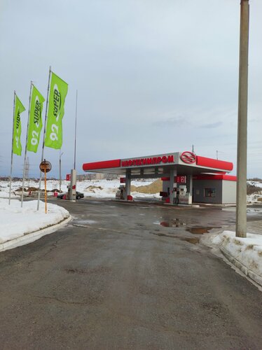 Gas station Neftehimprom, Solikamsk, photo