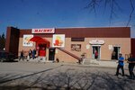 Magnit (selo Krivodanovka, Sadovaya ulitsa, 40), grocery