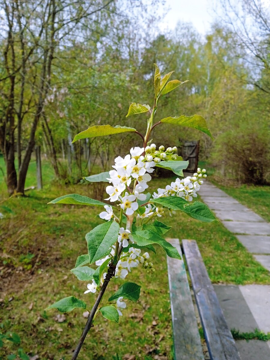 Фото Код здоровья
