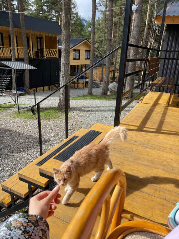 Фото Алибаба