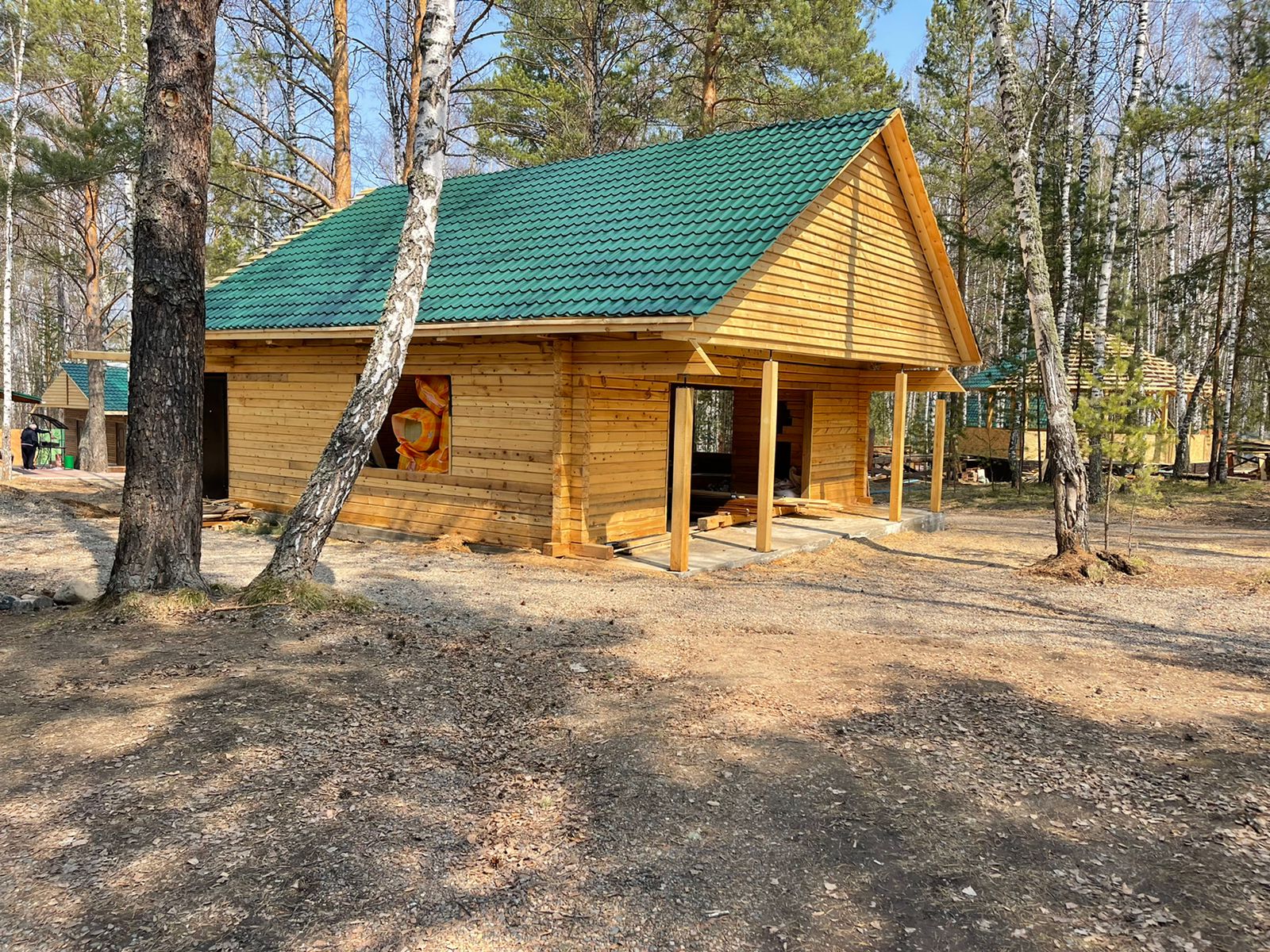 Фото Белая сова