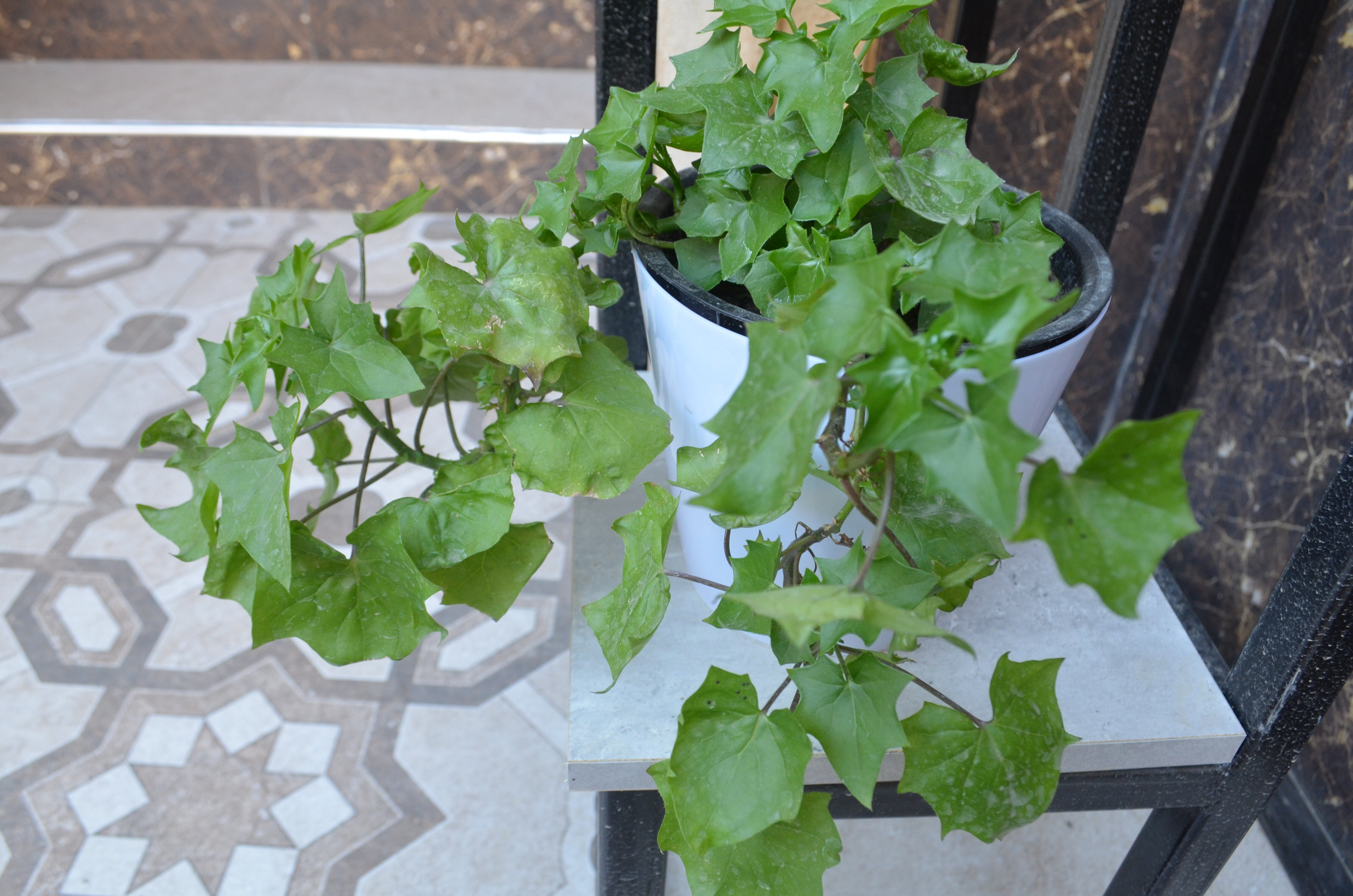 Фото Отель Retro Registan