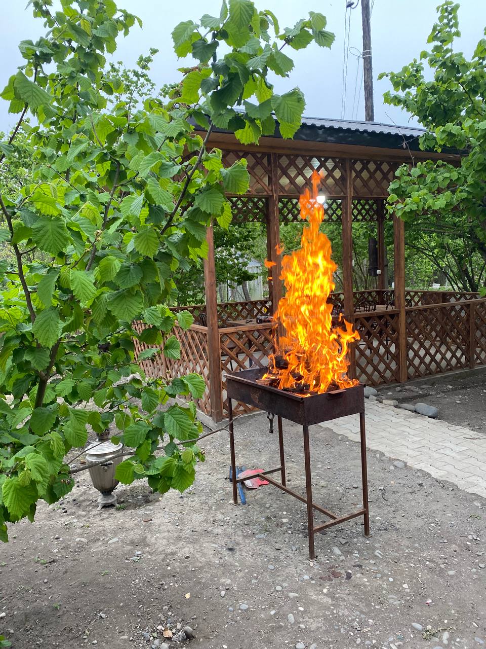 Фото Самурская Жемчужина