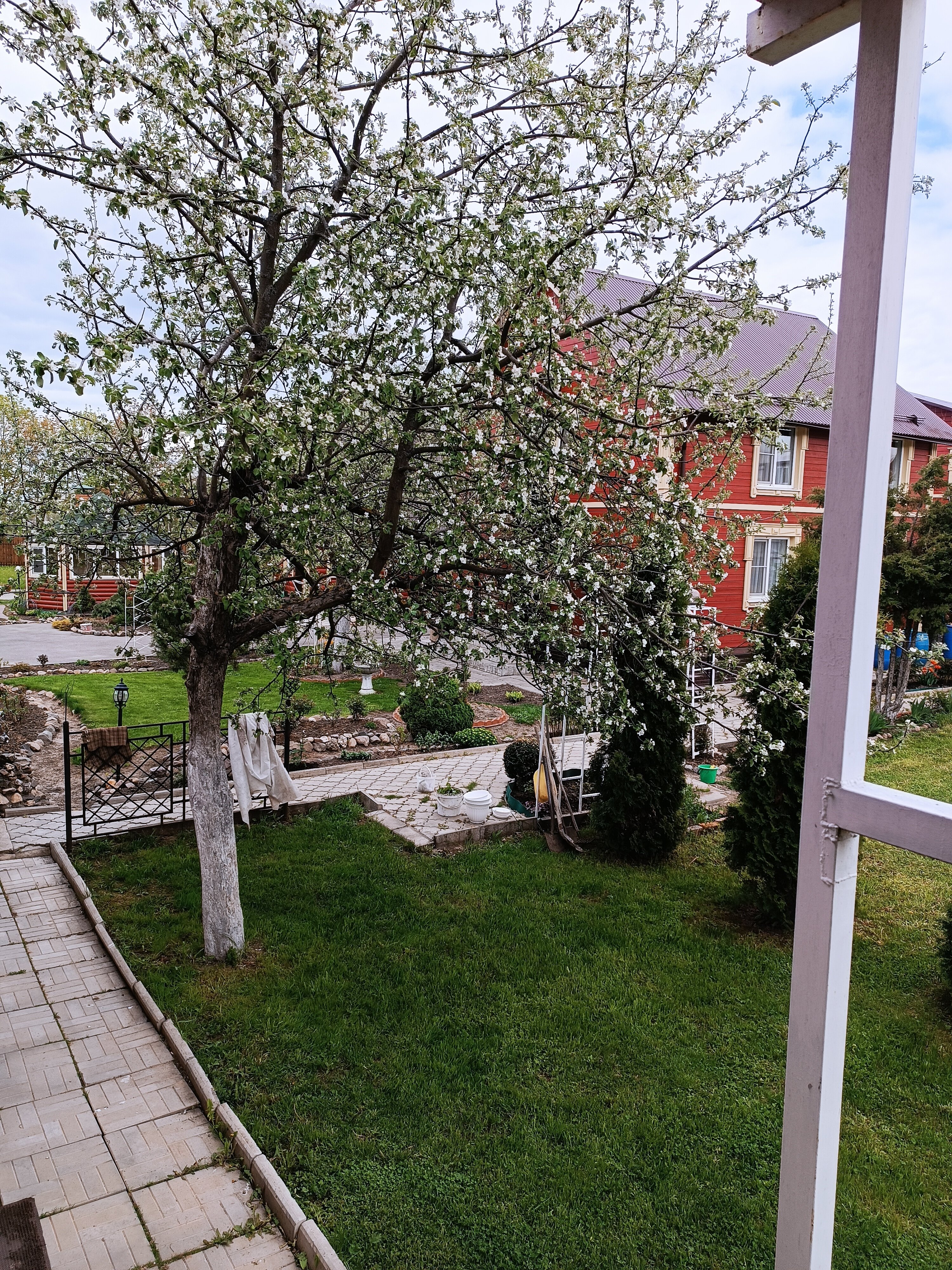 Фото Волшебный сад