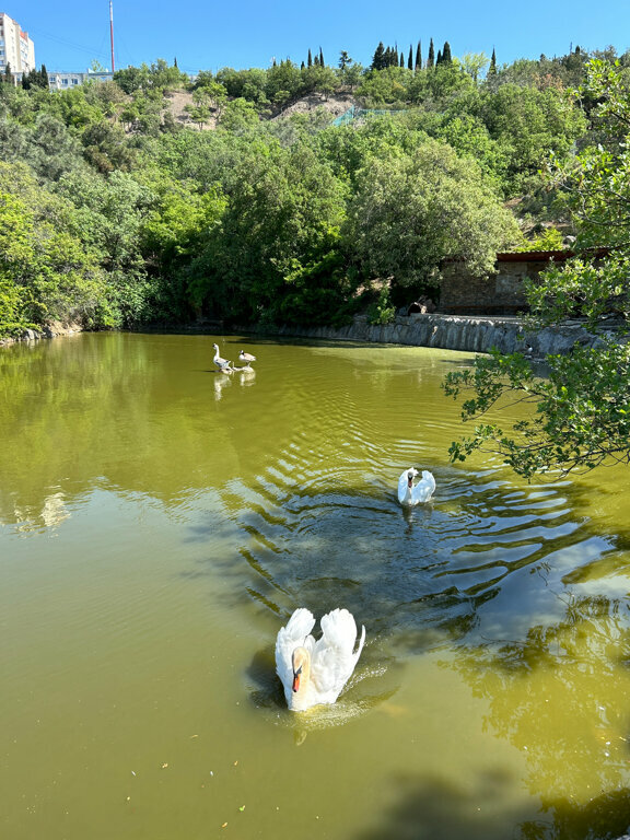 حديقة الحيوانات Dendrozoo of the Crimean Natural Reserve ، ، صورة