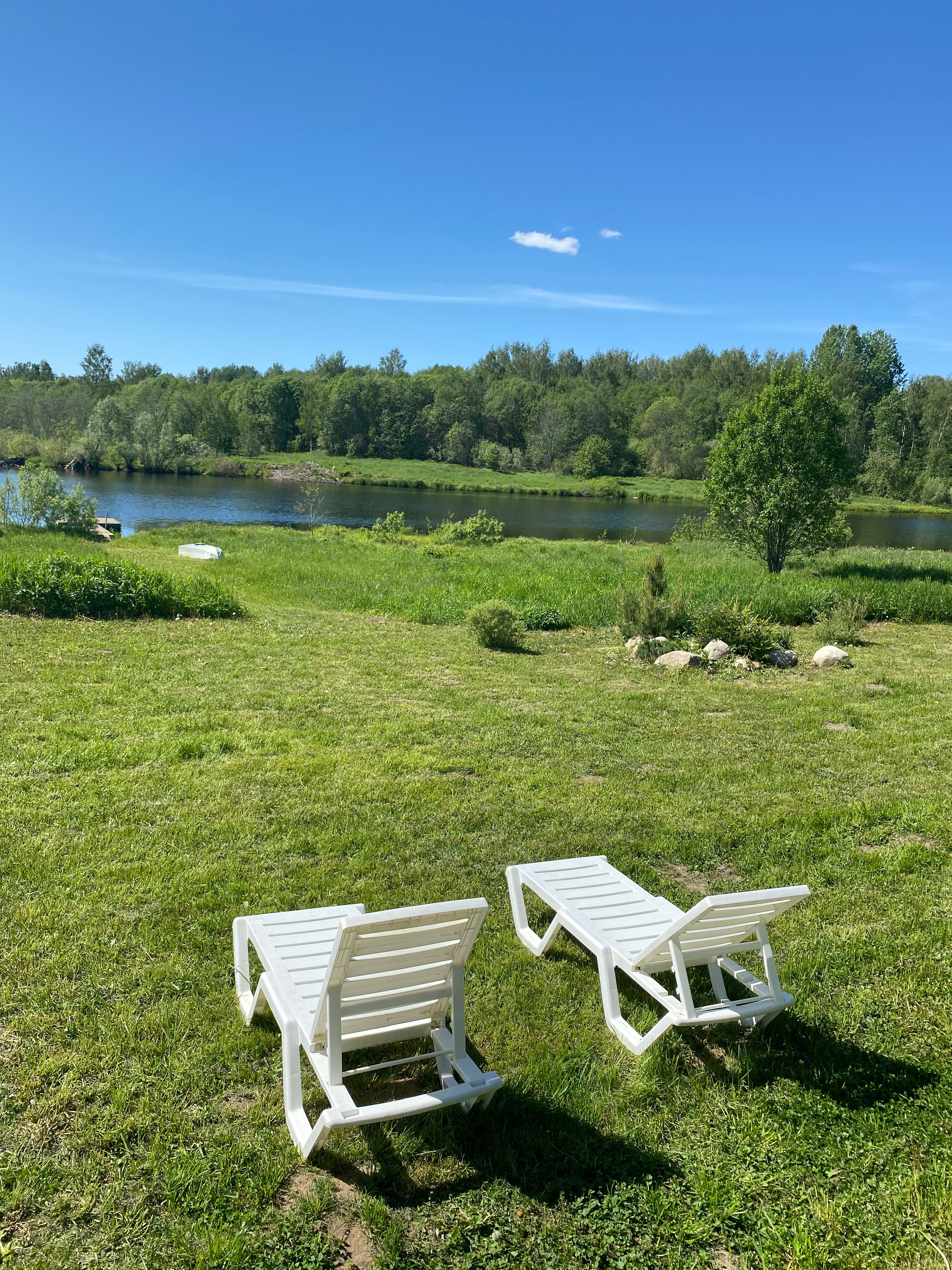 Фото Лаванда