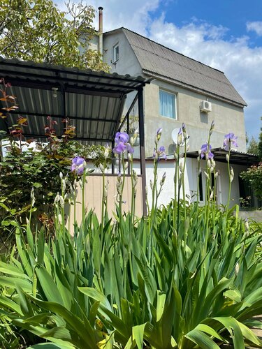 Дом в аренду Вилла Велена в Севастополе