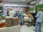 Кубанские продукты (Tsentralniy Microdistrict, Roz Street, 95) ، سوق المزارعين