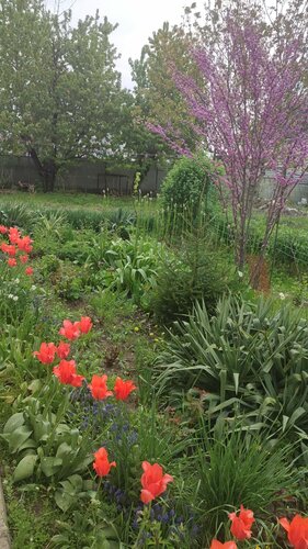 Внешний вид отеля Вербочки в Старой Станице, фото 1