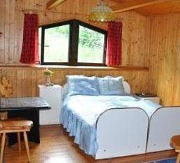 Фото 113087148373