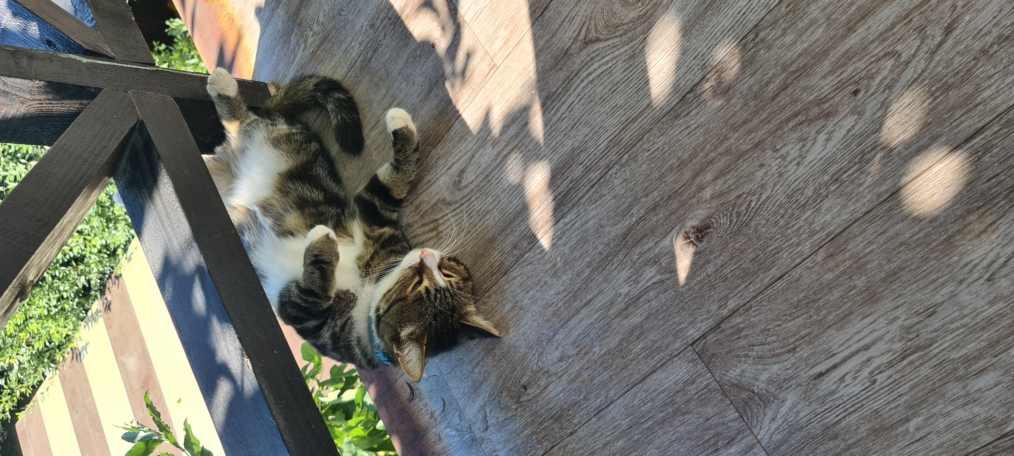 Фото Усадьба Инжир