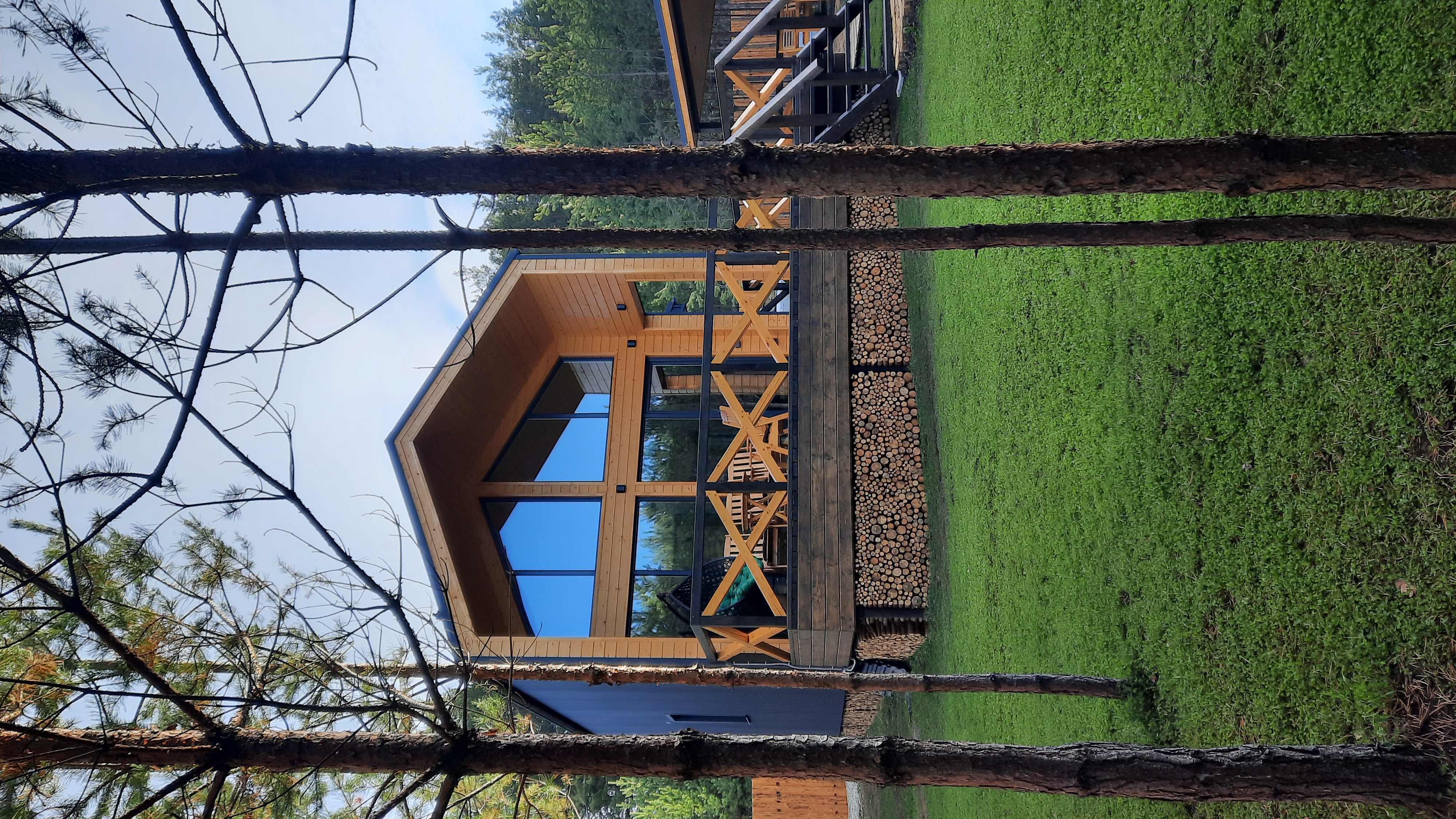 Фото Два Лося