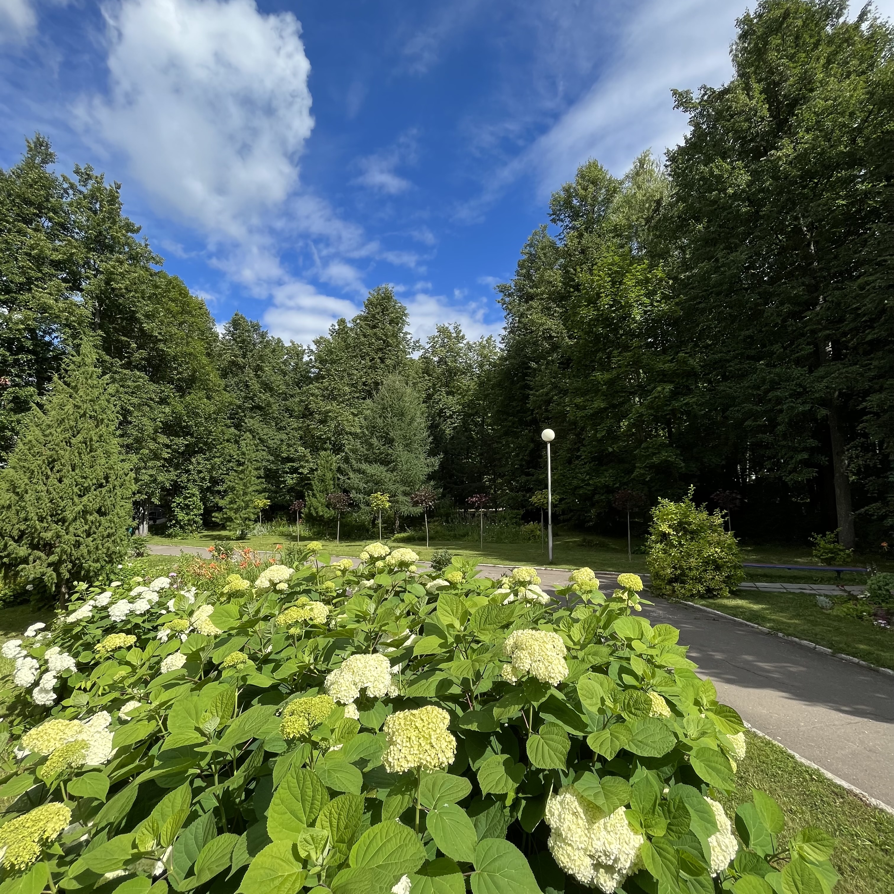 Фото Код здоровья