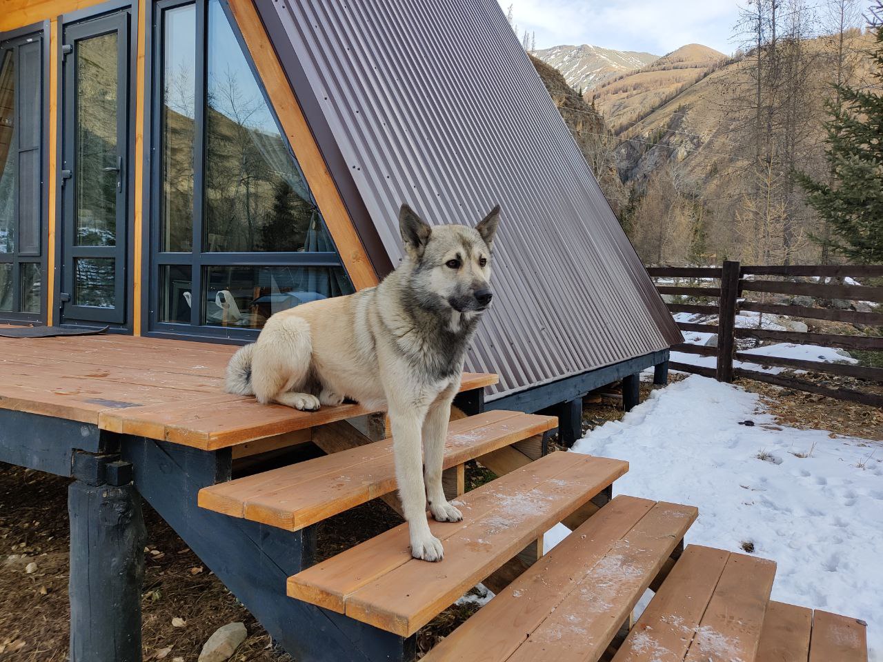 Фото Высота