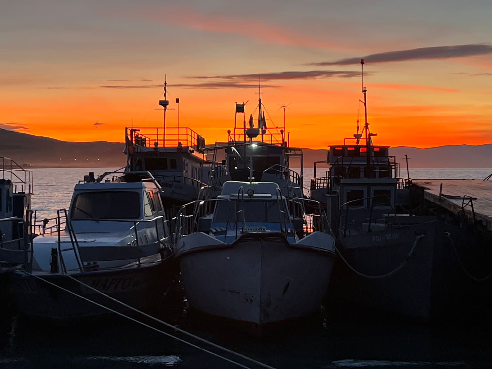 Фото Филоксения