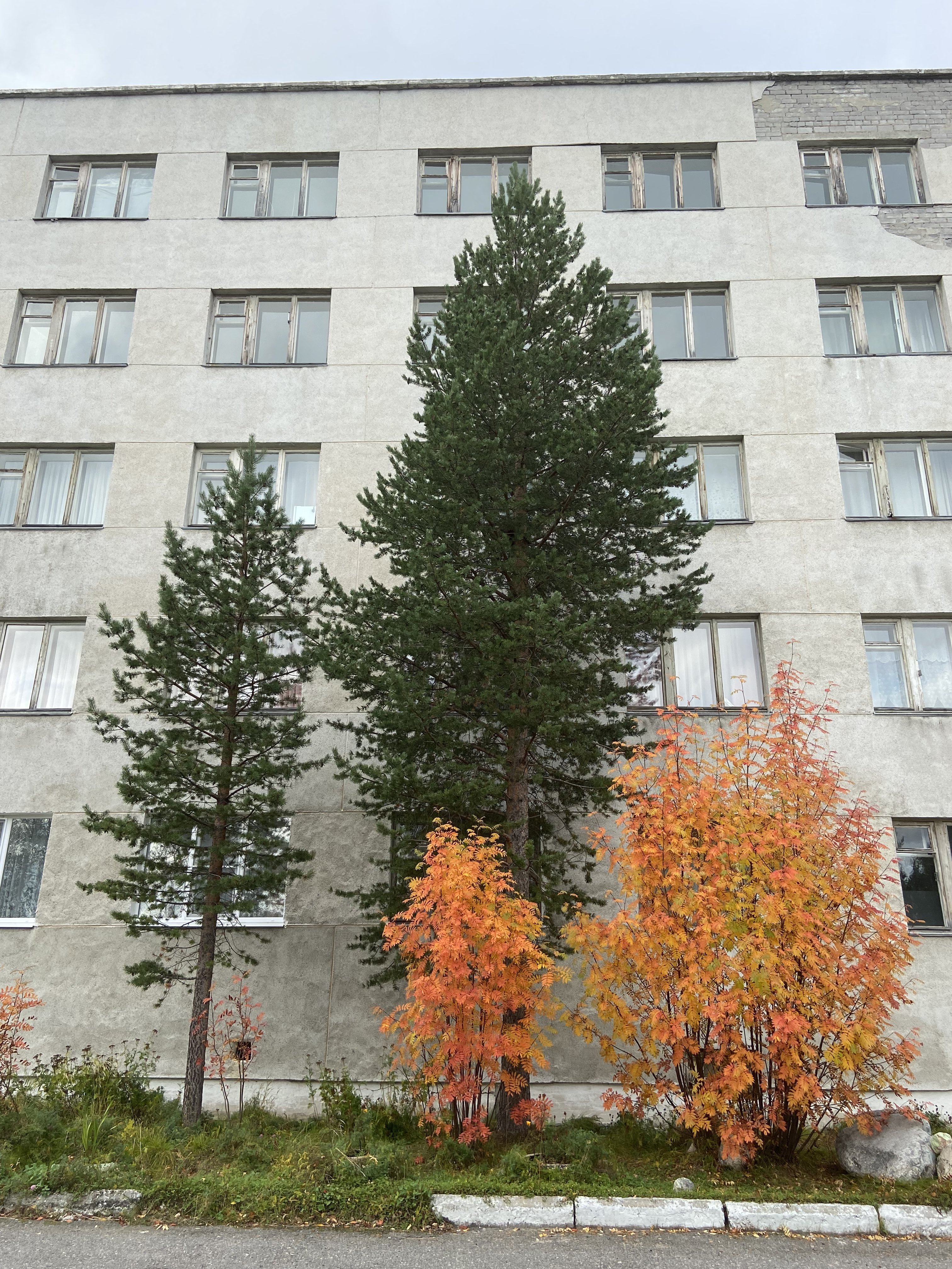 Фото Аэропорт Мурманск