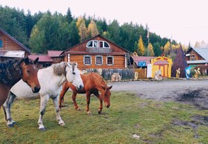 Иремель Роза Ветров