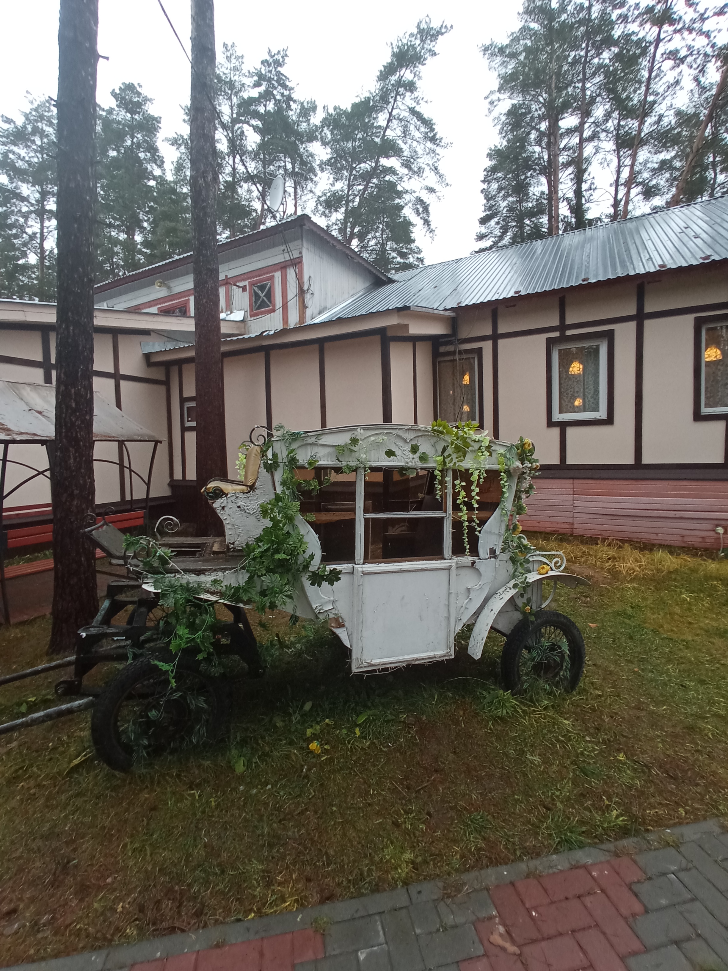 Фото Спутник