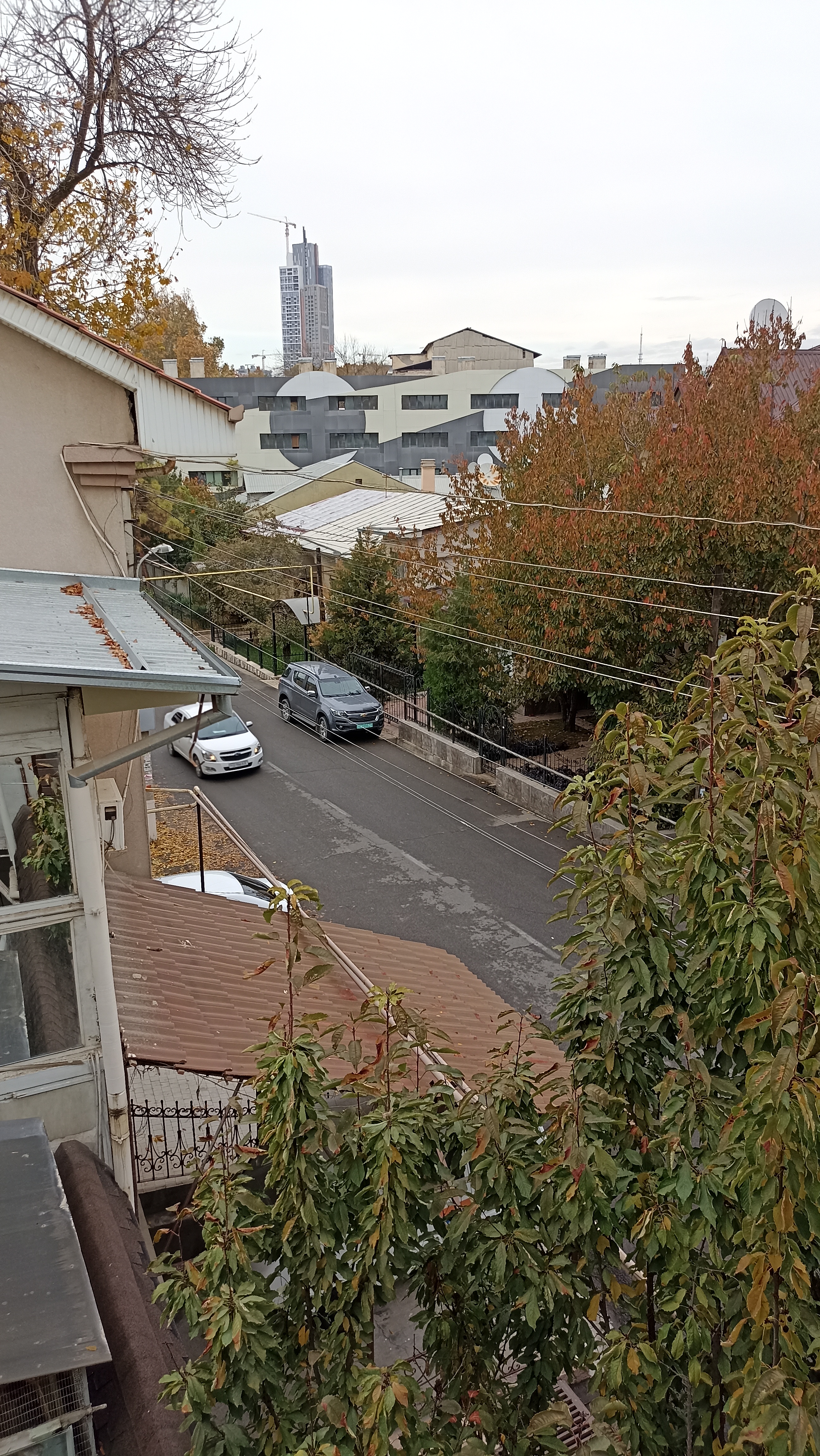 Фото Anvar's Guests