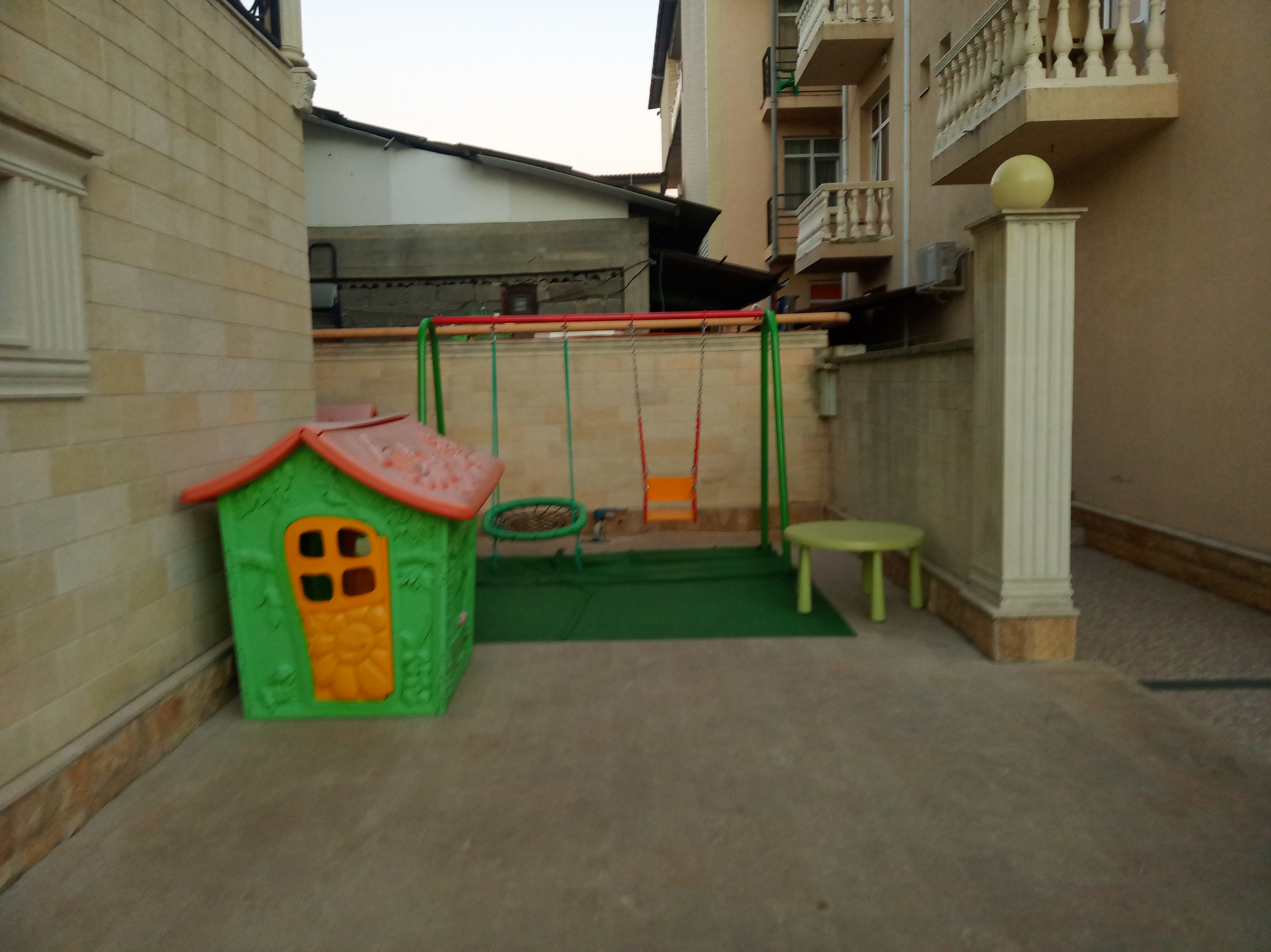 Фото Орхидея