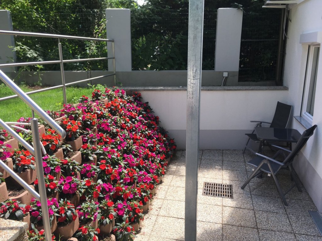 Фото Ajo Apartments Danube